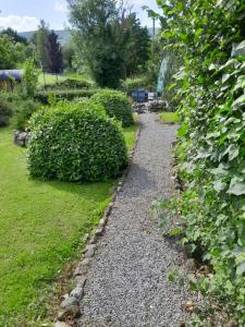 a gravel path in a garden with bushes at St Mullins Glamping Bell Tent in Saint Mullins