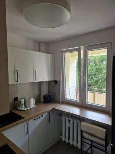 Η κουζίνα ή μικρή κουζίνα στο Apartament u Zuzi