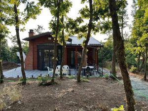 a house in the woods with a group of trees at Villa E&E Dragance in Gjilan
