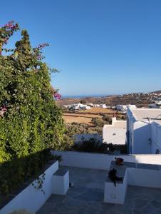 a bird sitting on a bench on a building at Θέα - Thea in Artemonas +8 photos