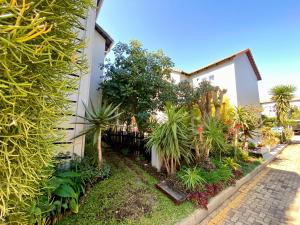 Un jardín frente a una casa con plantas. en Luxury Garden Retreat 2B Sandton, en Sandton