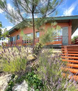 a house on the beach with plants in front of it at Résidence 03134-lacanau Ocean - Chalet bois indépendant, 3 chambres, 6 personnes proche plage Lacanau océan MAE-0531 in Lacanau +5 photos