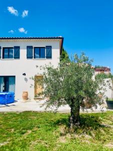Zahrada ubytování La Petite Bastide en Provence + 41 fotografií