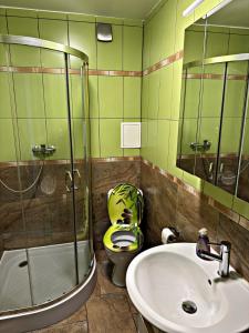 a bathroom with a toilet and a sink and a shower at Zentraler Moment in Chemnitz