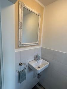 a bathroom with a sink and a mirror at Ferienwohnung Bentheimer Wald in Bad Bentheim +3 photos