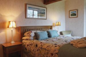 a bedroom with a bed with blue pillows and two lamps at Ystumgwern Luxury Barn Conversions in Dyffryn