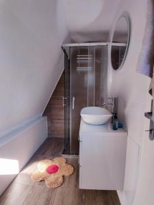 a bathroom with a sink and a shower and a rug at Holiday Home Bojko in Krapje +22 photos