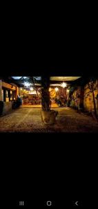 a tree in a pot on a street at night at Casona María Esther in San Miguel de Allende