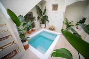 a swimming pool in a room with potted plants at Fundacari B&b in Gallipoli +21 photos