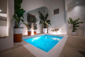 ein Swimmingpool in einem Raum mit Topfpflanzen in der Unterkunft Fundacari B&b in Gallipoli