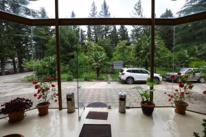Zahrada ubytování Park Hotel Imeri kutaisi