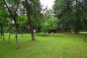 Zahrada ubytování Park Hotel Imeri kutaisi
