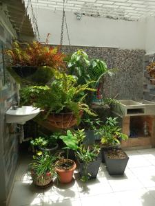 łazienka z mnóstwem doniczkowych roślin i umywalką w obiekcie hostal amanecer costero w mieście Santa Marta