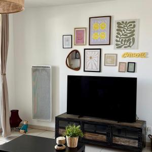 Μια τηλεόραση ή/και κέντρο ψυχαγωγίας στο Appartement cosy - rénové et lumineux -