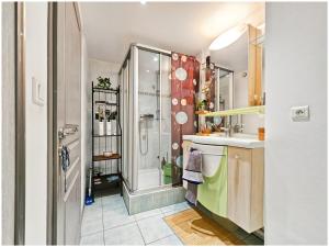 a bathroom with a shower and a sink at Duplex lumineux cocooning proche de suisses in Pontarlier +23 photos