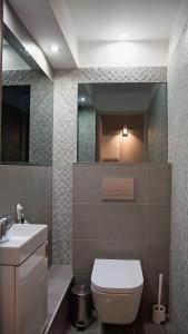 uma casa de banho com um WC, um lavatório e um espelho. em Apartament Piano em Racibórz