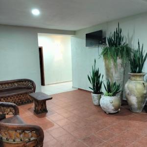 a lobby with potted plants and a couch and chairs at Hotel RINCON RESORT TEQUILA in Tequila