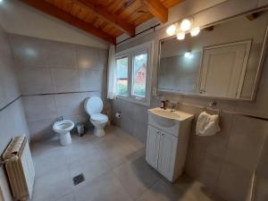a bathroom with a toilet and a sink and a mirror at Cabaña Los Amancays in Villa La Angostura +6 photos