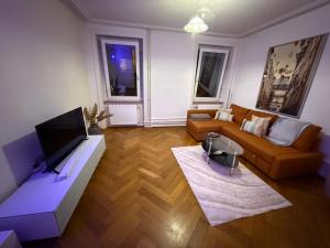 a living room with a couch and a flat screen tv at Chill and Tranquil in St Johann near Novartis Campus in Basel