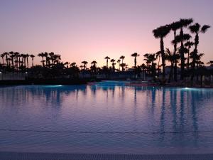 a pool with palm trees and a sunset at Oasis Duna - Casa Mariposa in Corralejo