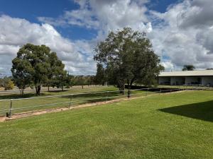 a field with a fence and trees and a building at Bulgon Lodge in Collinsville