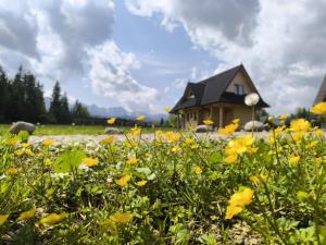 a small house in a field of flowers at Domek Góralsko Gawra in Murzasichle
