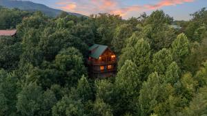 een luchtfoto van een huis midden in een bos bij Knotty Pine Delight Holiday home in Gatlinburg