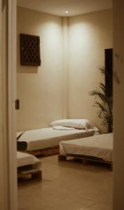 a room with two beds and a plant at Que Ondas Hostal in Juayúa
