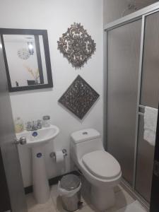 a bathroom with a toilet and a sink and a mirror at Alojate a 3 minutos del Parque del Cafe in Montenegro