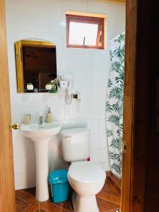 un bagno con un water e un lavandino di Cabañas Alpinas Alessandro a Recinto