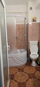 a bathroom with a shower and a toilet at EVA Studio Eforie Nord in Eforie Nord +20 photos