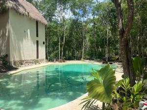 a swimming pool in front of a house at Sak lool Tulum in Tulum
