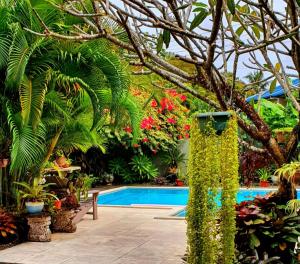 Piscina di Vaea Hotel Samoa o nelle vicinanze