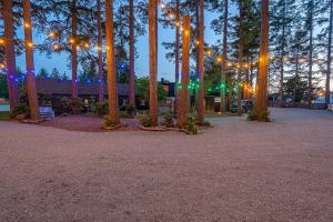 a park with christmas lights on trees at night at b side motel in Bandon