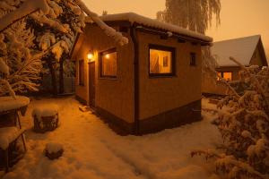 科瓦斯纳Forest Hide Tiny House的雪覆盖着的房屋,里面装着灯