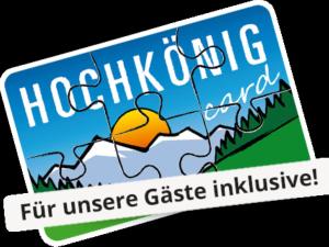 ein Bild eines Puzzles mit den Worten Hikiko-Spalt-Universum in der Unterkunft Emma Top 1 XL in Dienten am Hochkönig