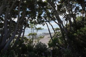 a view of the beach through the trees at Bay View Terrace Studio 3 in Tataraimaka
