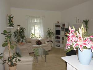 Afbeelding uit fotogalerij van 2 Norit Schlosser Comfortable holiday residence in Heidenau