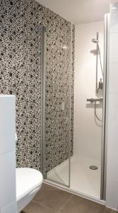 bagno con doccia in vetro e servizi igienici di B&B 't Goedhof a Maaseik