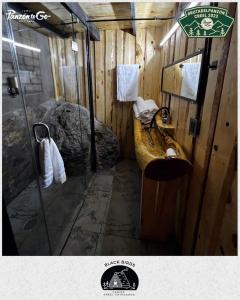 a bathroom with a sink and a shower at Black Birds Cabins Creel in Creel +27 photos