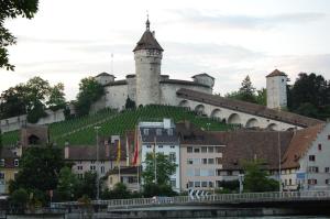 Un castello con un grappolo d'uva sulla collina di Back-Packer Federnhut a Schaffhausen