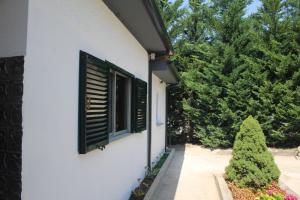 Zahrada ubytování Casa dos Leme