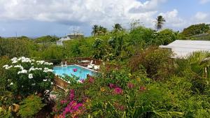 a swimming pool in a garden with flowers at The Pool House in Saint Philip