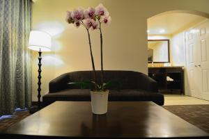 Ảnh trong thư viện ảnh của Days Inn by Wyndham Downey ở Downey +18 ảnh