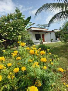 a garden with yellow flowers in front of a house at Pimrada in Ban Chieo Ko