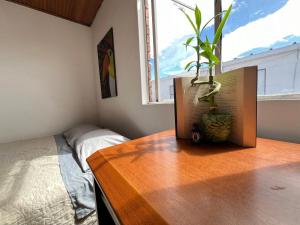 Gallery image of Habitaciones Tranquilas Embajada de México in Bogotá