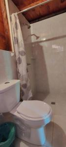 a bathroom with a white toilet and a shower at Sapiens house la cabaña del Reloj in Cali