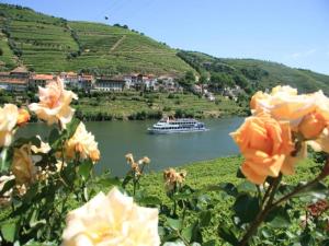 a boat on a river with flowers in the foreground at Feel Porto Wine Essence IV in Vila Nova de Gaia