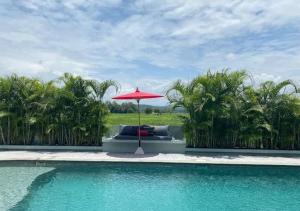 a red umbrella sitting next to a swimming pool at Capybara Zen Resort And Spa in Ban Mae Pong