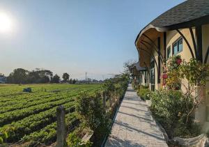 a building with a fence next to a field of crops at Capybara Zen Resort And Spa in Ban Mae Pong